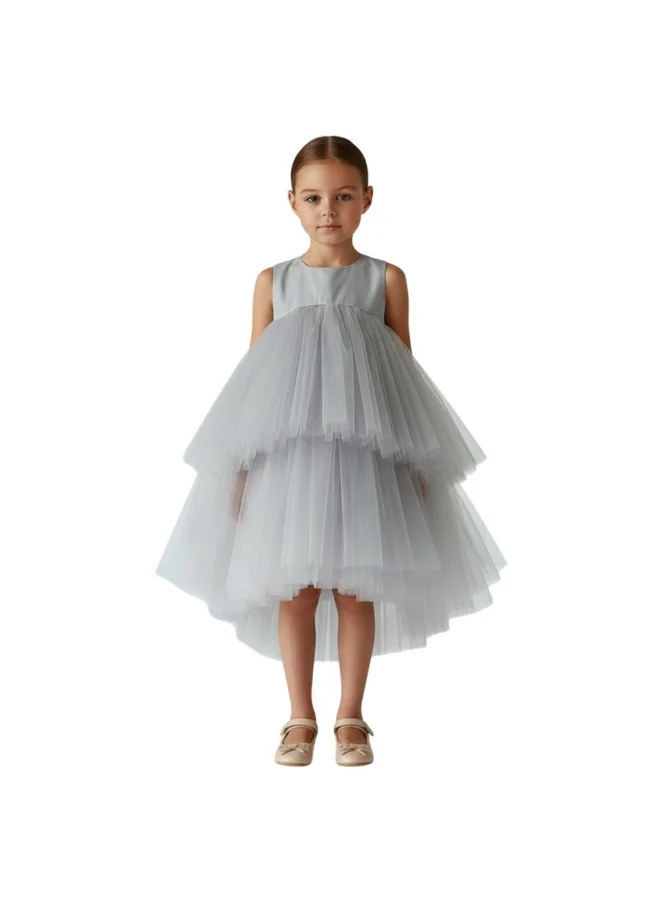 D'Daniela Tiered Tulle Dress